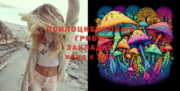 стаф Абаза
