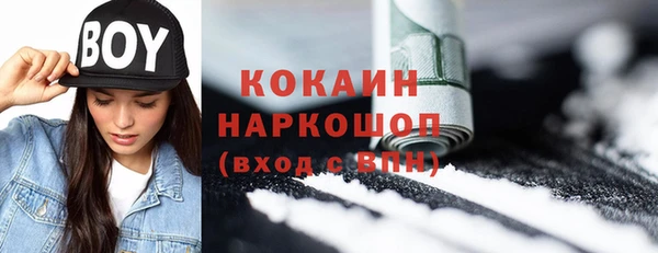 крисы Краснослободск
