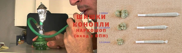 стаф Абаза