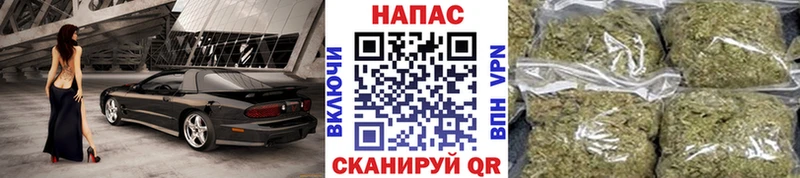 дарк нет телеграм  Димитровград  Бошки Шишки гибрид  купить наркотики цена 